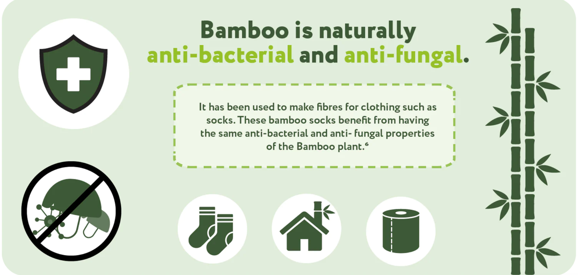 bamboo allergens.png